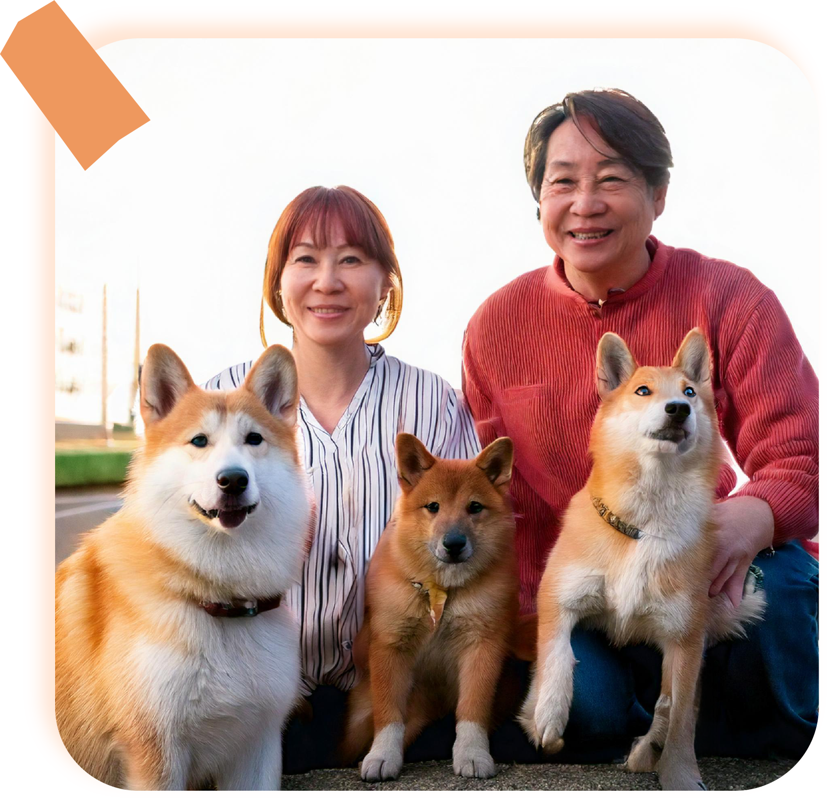 今月お迎えした方の紹介写真